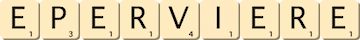 eperviere eperviere