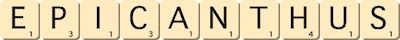 epicanthus
