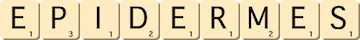 epidermes epidermes