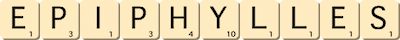 epiphylles epiphylles