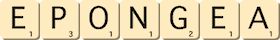 epongea epongea
