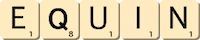 equin equin