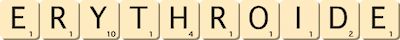 erythroide
