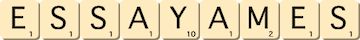essayames essayames