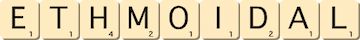 ethmoidal ethmoidal