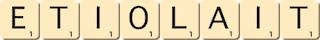 etiolait etiolait