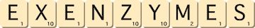 ex-enzymes