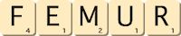 femur femur