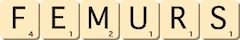 femurs femurs