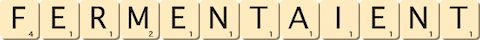 fermentaient fermentaient