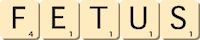 fetus fetus