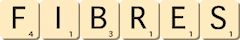 fibres fibres