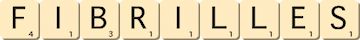 fibrilles
