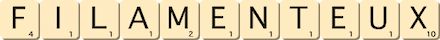 filamenteux filamenteux