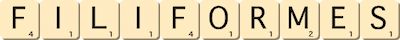 filiformes filiformes