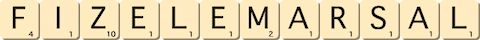 fize-le-marsal fize-le-marsal
