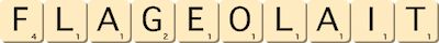 flageolait flageolait