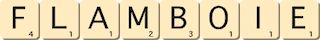 flamboie flamboie