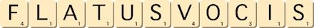 flatus-vocis flatus-vocis
