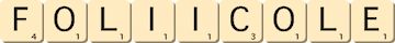 foliicole