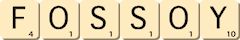 fossoy fossoy