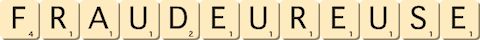 fraudeur--euse