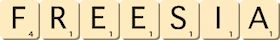 freesia freesia
