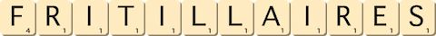 fritillaires