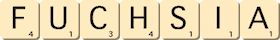 fuchsia fuchsia
