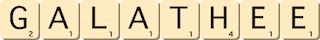 galathee galathee