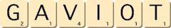 gaviot gaviot
