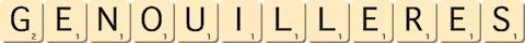 genouilleres genouilleres