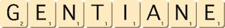 gentiane gentiane