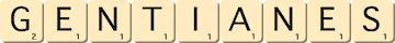 gentianes gentianes