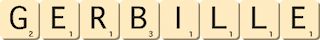gerbille