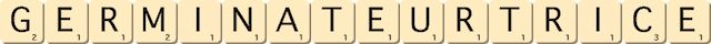 germinateur--trice