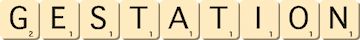 gestation