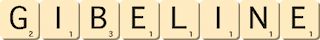 gibeline gibeline