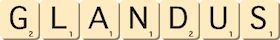 glandus glandus