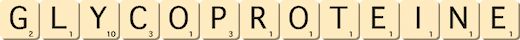 glycoproteine glycoproteine