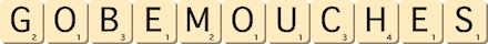 gobe-mouches