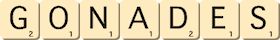 gonades gonades