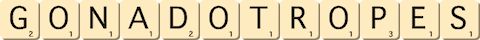 gonadotropes gonadotropes