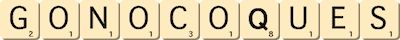 gonocoques gonocoques