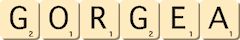 gorgea gorgea