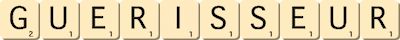 guerisseur guerisseur