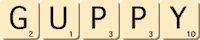 guppy guppy
