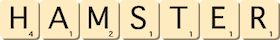 hamster hamster