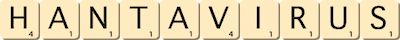 hantavirus hantavirus