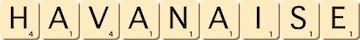 havanaise havanaise